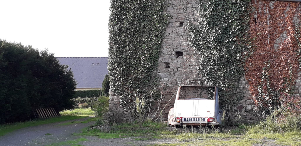 L'arrière d'une Dodoche contre un mur